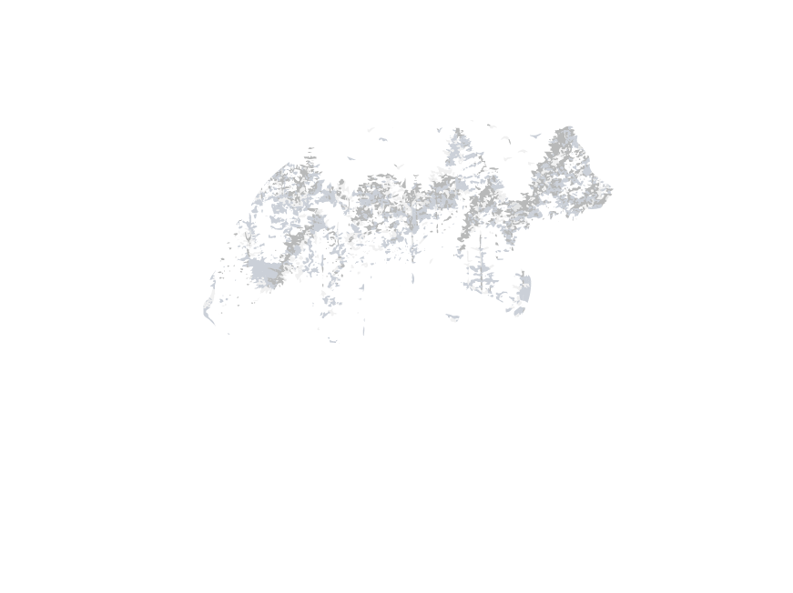 Kooner Homes | Homeware Furnishings & Decor